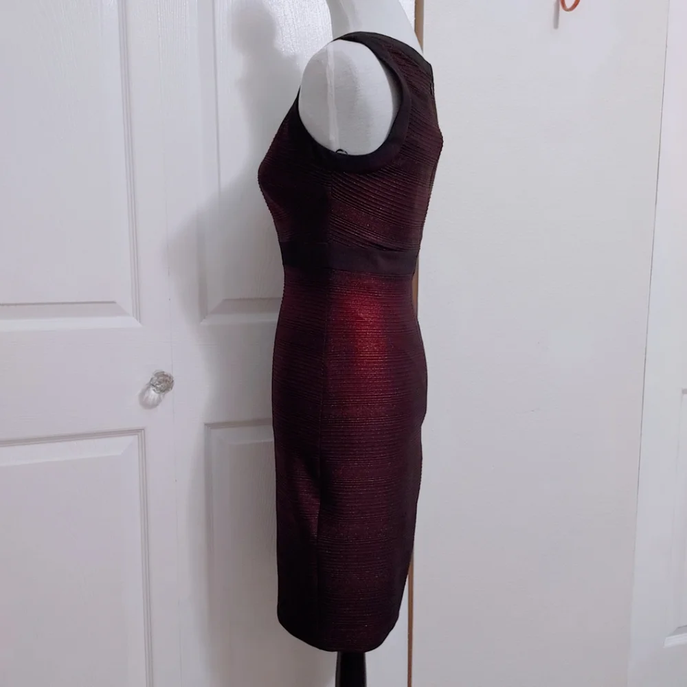 Cache Black and Red Ribbed Bodycon Dress - Picture 6 of 11